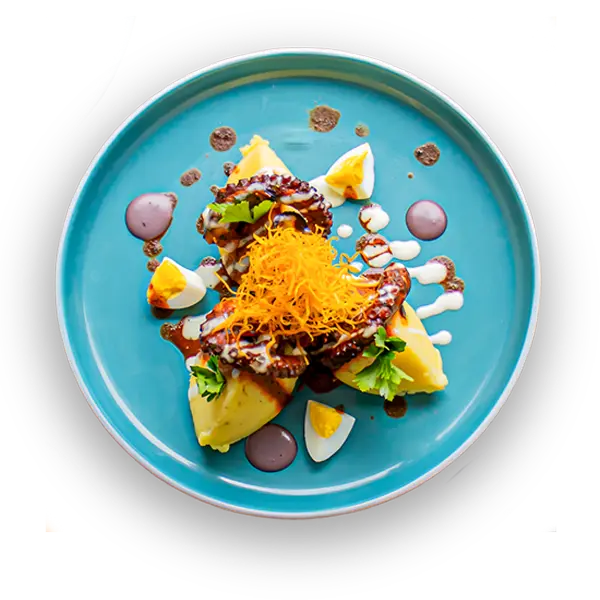 CAUSA-DE-PULPO-080325